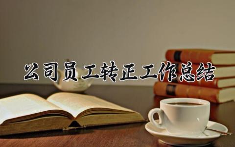 2025公司员工转正工作总结 新员工试用期间工作总结 (8篇）