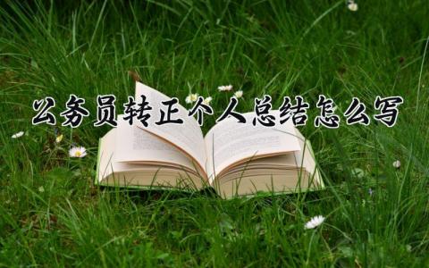 公务员转正个人总结怎么写 公务员试用期转正工作总结 (3篇）