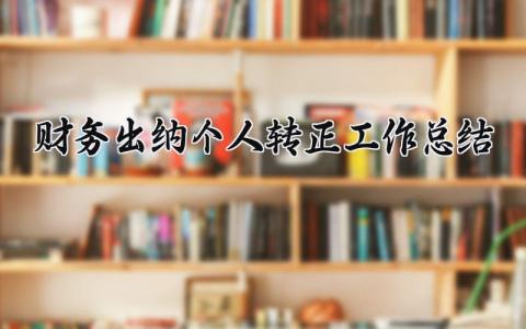 2025财务出纳个人转正工作总结 出纳转正申请工作总结报告 (3篇）