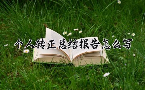 个人转正总结报告怎么写 试用期转正的个人总结 (7篇）