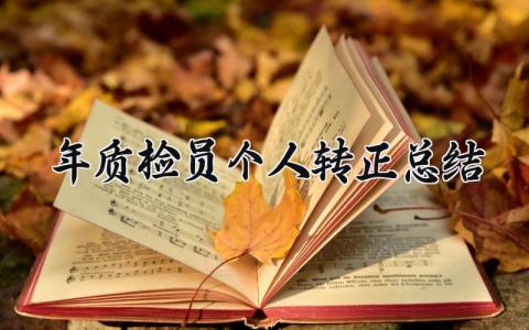 2025年质检员个人转正总结 质检转正个人工作总结 (3篇）