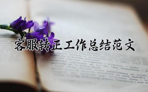 客服转正工作总结范文 客服申请转正个人总结简短 (11篇）