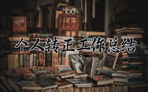 2025个人转正工作总结 工作转正个人总结简短版 (12篇）