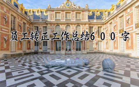 员工转正工作总结600字范文 员工转正个人工作进展汇报模板