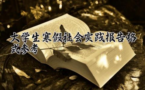 2025大学生寒假社会实践报告精选范文格式参考汇总