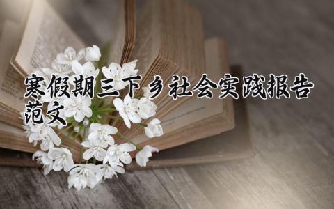 寒假期三下乡社会实践报告范文 寒假三下乡实践活动总结汇报