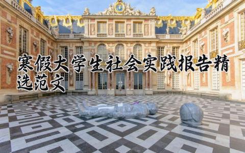 寒假大学生社会实践报告精选范文汇总2025