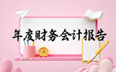 年度财务会计报告 年度财务汇报的内容 (9篇）