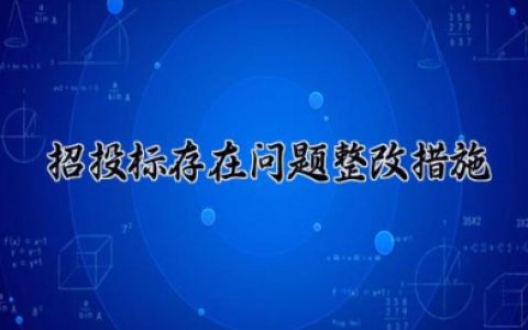 招投标存在问题整改措施 投标工作不足及改进