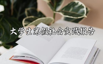 2025关于寒假发传单社会实践报告范文大全 (3篇）