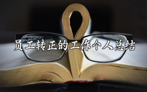 员工转正的工作个人年终总结计划 员工转正个人工作总结怎么写 (11篇）