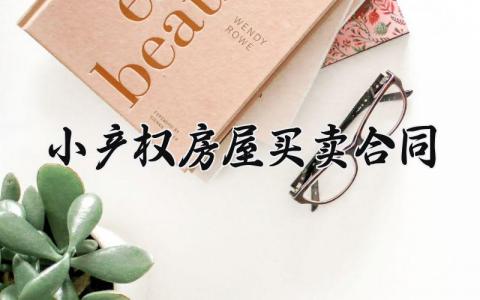 小产权房屋买卖合同 小产权个人卖房协议书 (15篇）