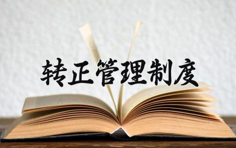 转正管理制度 试用期转正考核制度 (7篇）