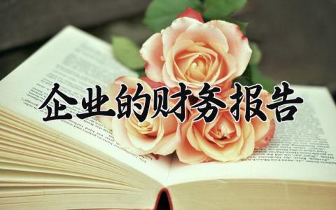 企业的财务报告分析 企业的财务报告范文