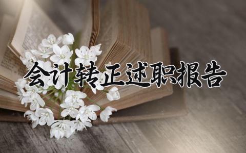 会计转正述职报告范文 财务会计转正述职汇报大全
