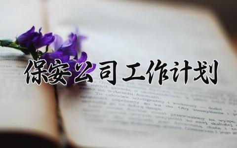 保安公司工作计划 安保的工作思路与规划 (7篇）