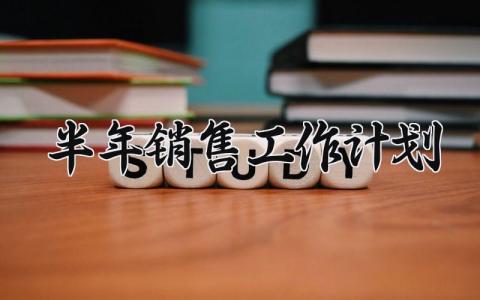 半年销售工作计划 销售下半年计划与目标 (13篇）