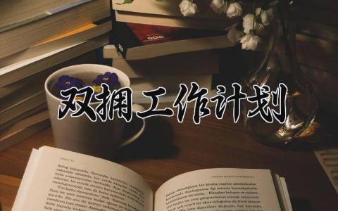 双拥工作计划 双拥工作下一步打算 (11篇）