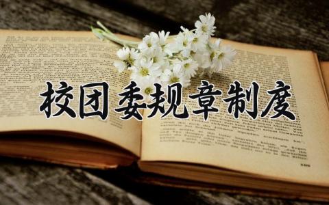 校团委规章制度 团委规章制度相关规定 (8篇）