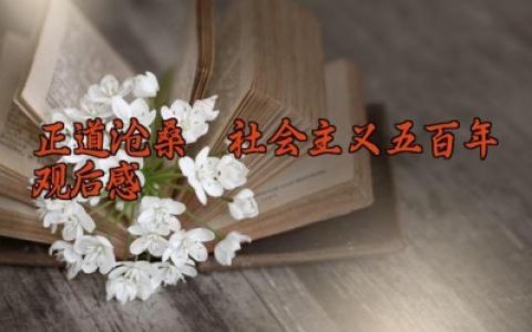 正道沧桑社会主义五百年500字观后感 正道沧桑社会主义五百年心得体会（10篇）