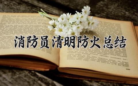消防员清明防火总结 清明节防火工作汇报材料 (3篇）