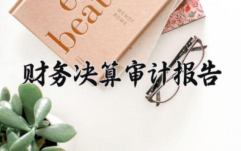 财务决算审计报告 财务决算审计情况汇报材料 (3篇）