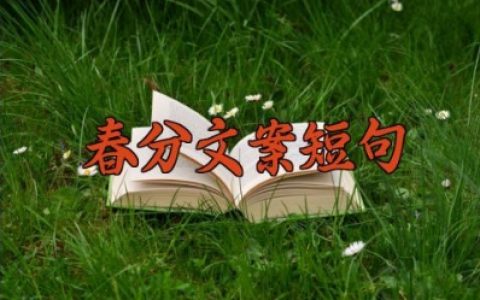 春分文案短句干净 关于春天的文案短句汇总