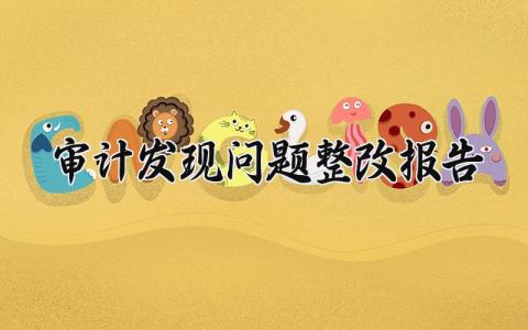 审计发现问题整改报告总结 审计发现问题整改报告存在的不足