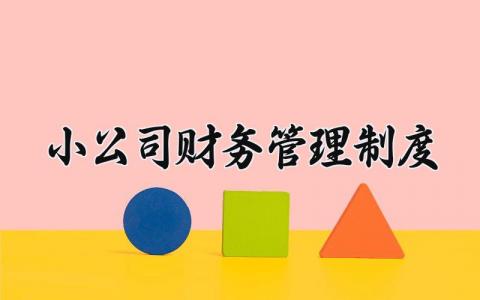 小公司财务管理制度范文 小公司财务管理规定合集