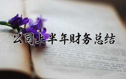 公司上半年财务总结怎么写 企业上半年财务总结报告