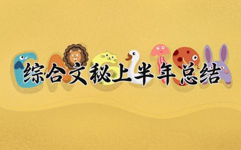 综合文秘上半年总结范本 综合文秘工作小结报告