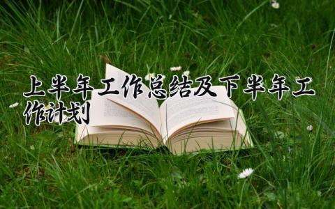 上半年工作总结及下半年工作计划精选 上半年工作总结及工作计划