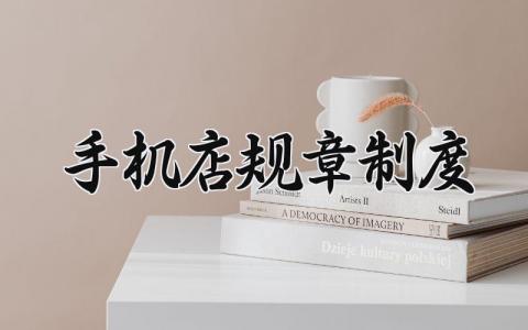 手机店规章制度 手机店工作制度管理制度 (6篇）