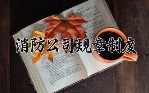 消防公司规章制度范文 消防公司规章制度与管理条例 (12篇）