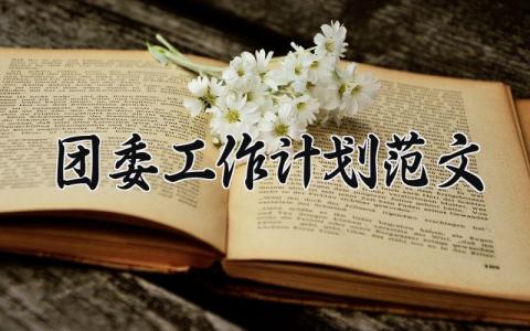 团委工作计划范文 团委工作总结和计划怎么写 (14篇）