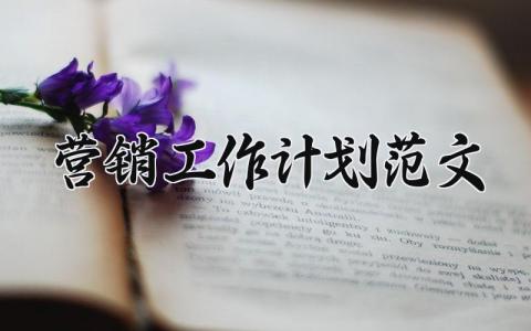 营销工作计划范文 营销活动推广策划模板 (13篇）