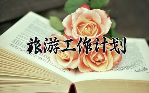 2025旅游工作计划 2025旅游的工作计划(11篇）