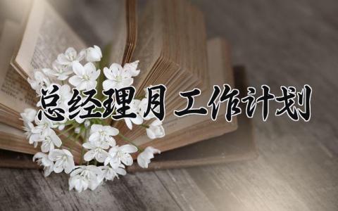 总经理月工作计划 总经理月工作总结与计划 (10篇）
