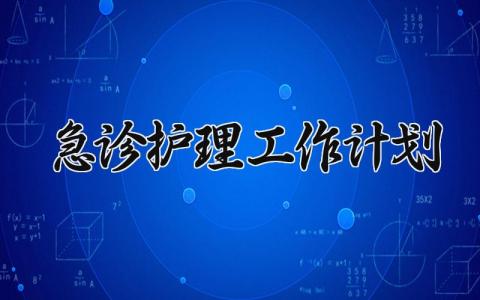 急诊护理工作计划 急诊护理的工作计划及小结 (9篇）