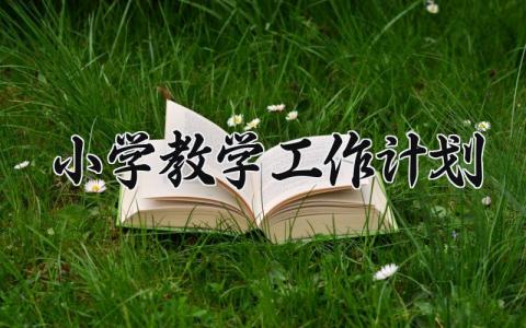 小学教学工作计划2025最新 2025年小学教学工作计划范文