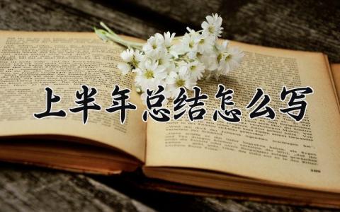 上半年总结怎么写 上半年的总结怎么写保险 (16篇）