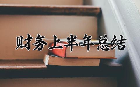 财务上半年总结 关于财务的上半年总结范文 (16篇）