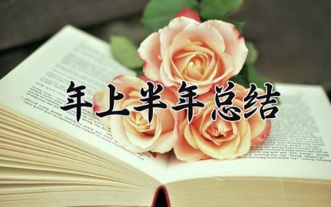 2025年上半年总结 2025上半年总结及下半年计划 (8篇）