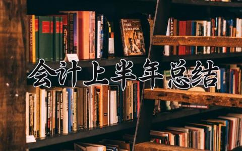 会计上半年总结与目标 会计上半年总结及上半年工作计划