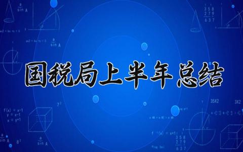 国税局上半年总结 税务局2025年上半年工作汇报 (4篇）