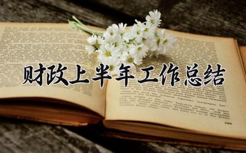 财政上半年工作总结 2025上半年财政工作总结 (13篇）