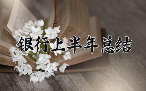 银行2025上半年总结怎么写 2025银行上半年工作总结及下半年工作计划