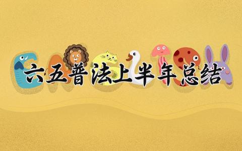 六五普法上半年总结 六五普法时间 (17篇）