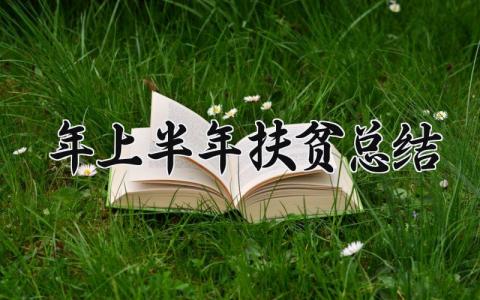 2025年上半年扶贫总结 2025年上半年扶贫总结发言 (7篇）