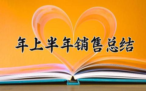 2025年上半年销售总结范文 2025年销售类上半年工作总结 (16篇）